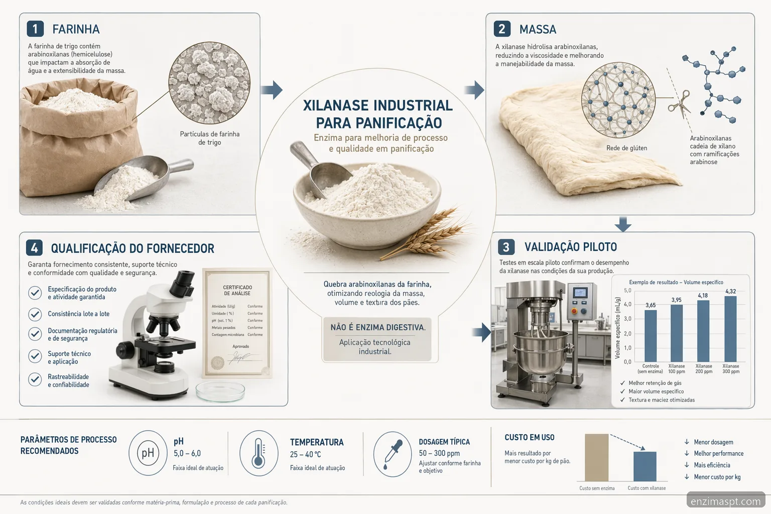 enzimas digestivas xylanase buying guide, showing flour, dough rheology, pilot validation and supplier QA