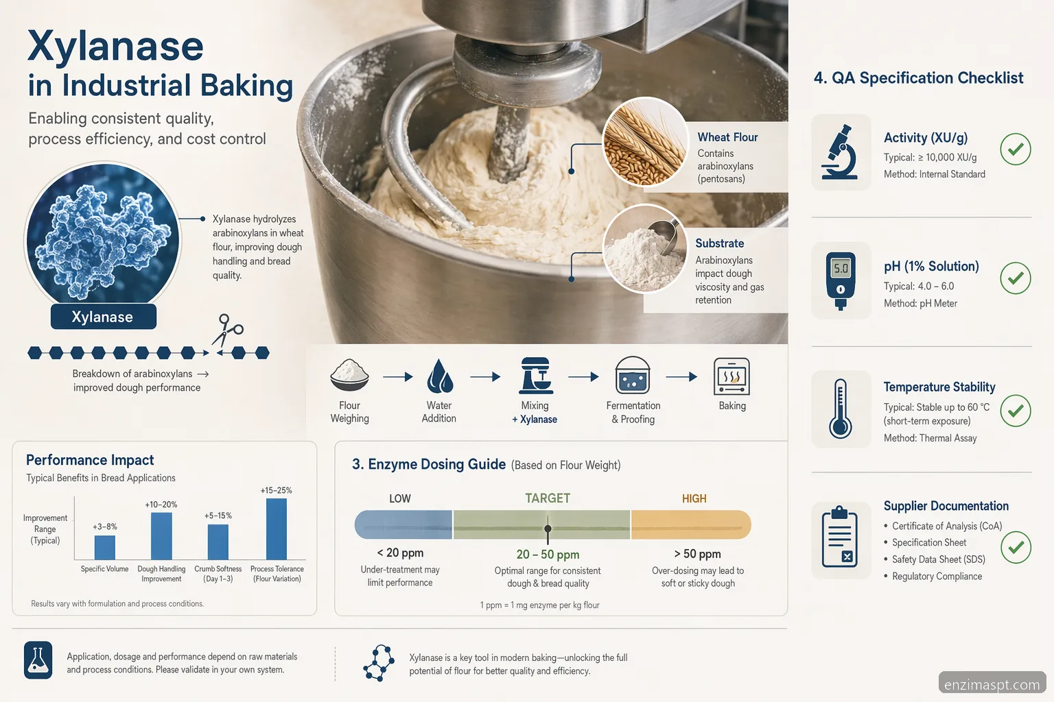 enzimas hepaticas altas industrial xylanase guide, showing dosing, dough rheology, QC, and supplier specs