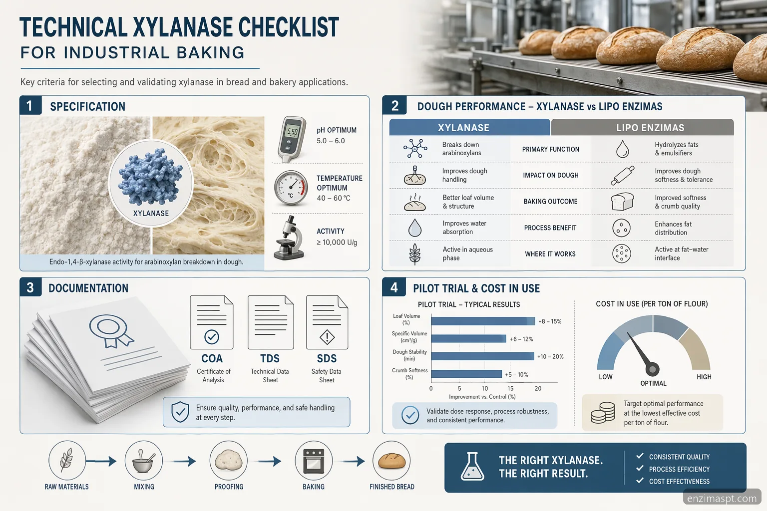lipo enzimas technical xylanase checklist for industrial baking, showing specs, documents, trials, and cost